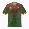 Original Fußballtrikot Kamerun Heimtrikot 2023-24 Für Herren